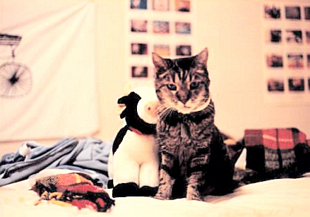 Tigger with Cow--redone